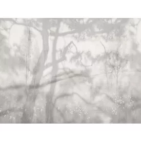 RIMURA / Main Collection