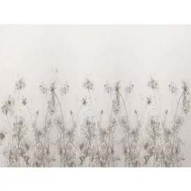 RIMURA / Main Collection