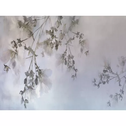 RIMURA / Main Collection