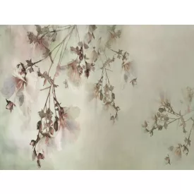 RIMURA / Main Collection