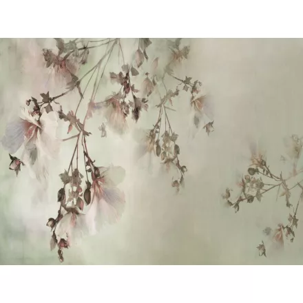 RIMURA / Main Collection