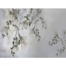 RIMURA / Main Collection