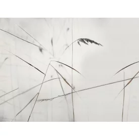 RIMURA / Main Collection