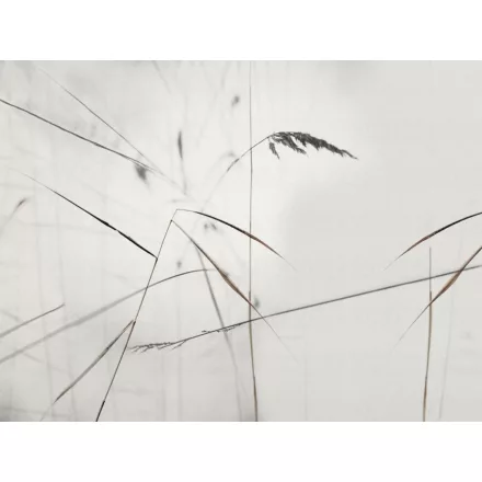 RIMURA / Main Collection