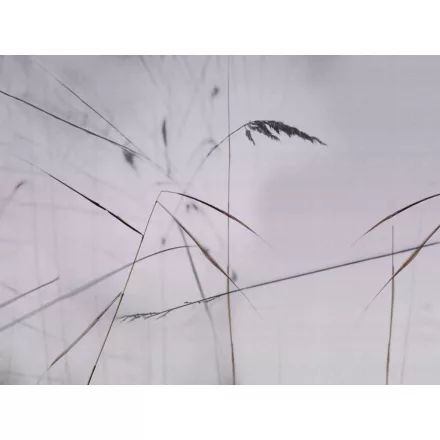 RIMURA / Main Collection