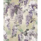 Prestige / Aurelia tapéta