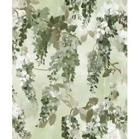 Prestige / Aurelia tapéta