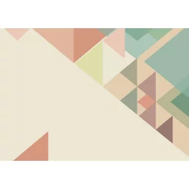 Komar / Into Illusions Edition 1 poszter