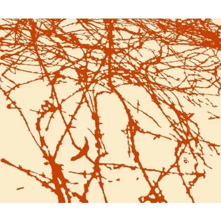 Wall&Deco  CWC  Abstract