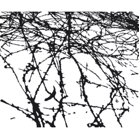 Wall&Deco  CWC  Abstract