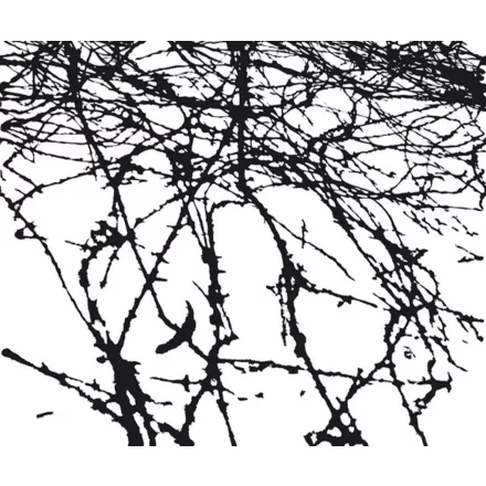 Wall&Deco  CWC  Abstract