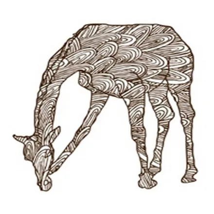 Wall&Deco  CWC  Animals