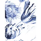 KEK Amsterdam / BC - Kör tapéta