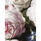 KEK Amsterdam / BC - Kör tapéta