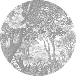 BC - Kör tapéta
