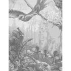 KEK Amsterdam / BC - Kör tapéta