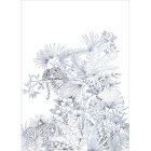 Casadeco / Beauty Full Image 2 tapéta