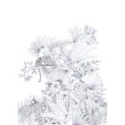 Casadeco / Beauty Full Image 2 tapéta