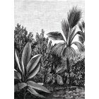 Casadeco / Beauty Full Image 2 tapéta