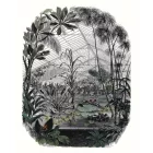 Casadeco / Beauty Full Image 2 tapéta