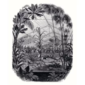 Casadeco / Beauty Full Image 2 tapéta