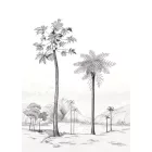 Casadeco / Beauty Full Image 2 tapéta