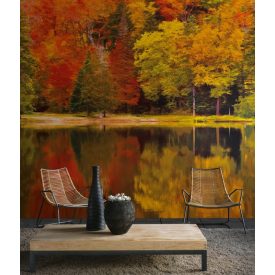 Casadeco / Beauty Full Image 2 tapéta