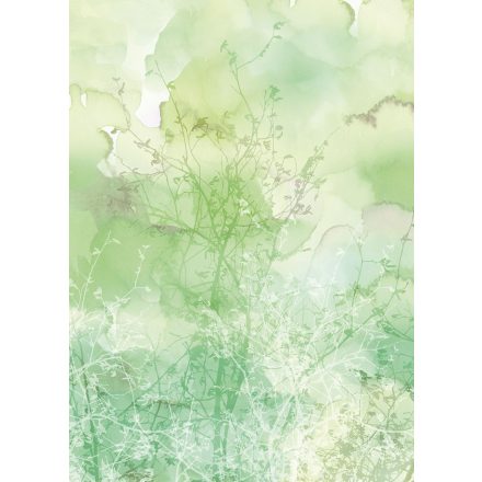 K'moor / Balance poszter