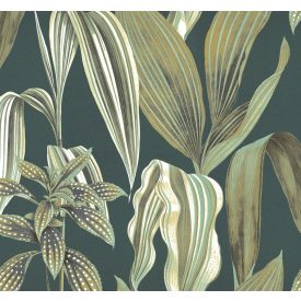 K'moor / Balance poszter