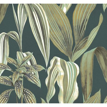 K'moor / Balance poszter