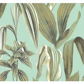 K'moor / Balance poszter