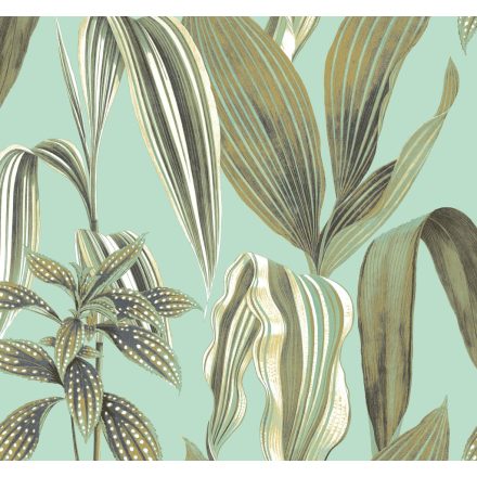 K'moor / Balance poszter