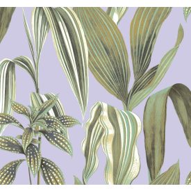 K'moor / Balance poszter