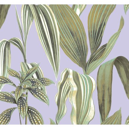 K'moor / Balance poszter