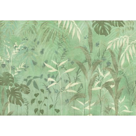 K'moor / Balance poszter