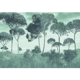 K'moor / Balance poszter