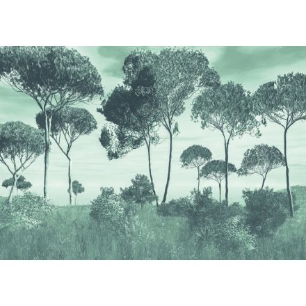 K'moor / Balance poszter