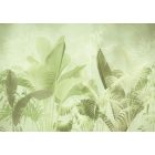 K'moor / Balance poszter