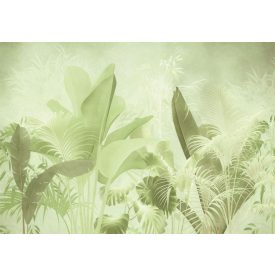 K'moor / Balance poszter