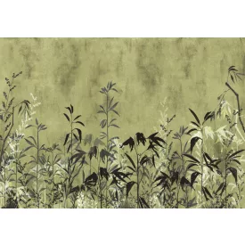 K'moor / Balance poszter