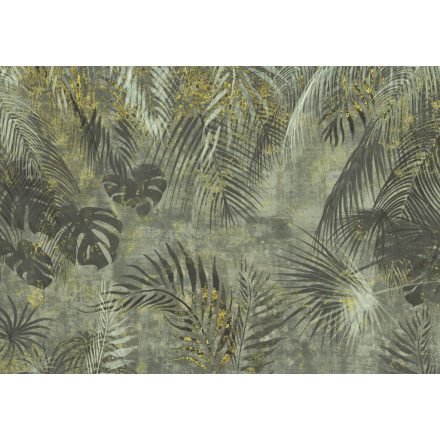 K'moor / Balance poszter