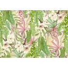 K'moor / Balance poszter