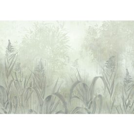 K'moor / Balance poszter