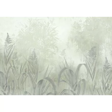 K'moor / Balance poszter