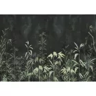 K'moor / Balance poszter