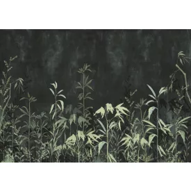 K'moor / Balance poszter