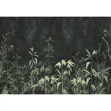 K'moor / Balance poszter