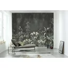 K'moor / Balance poszter