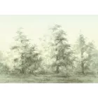 K'moor / Balance poszter