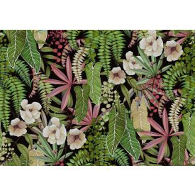 K'moor / Balance poszter